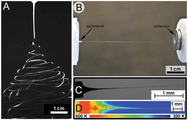 Comparison of the jet stabilities between solution and melt electrospinning. The electrified jet in solution electrospinning (A) often (but not always) has instabilities that result in a broad deposition area. In comparison, the molten electrified jet (shown in B) is often straight and visible to the eye right up to the collector. The molten jet also cools rapidly (C and D). Figure (A) is reproduced from ref. 60 and (B) is from ref. 26, while (C) and (D) are reproduced from ref. 59 with permission.