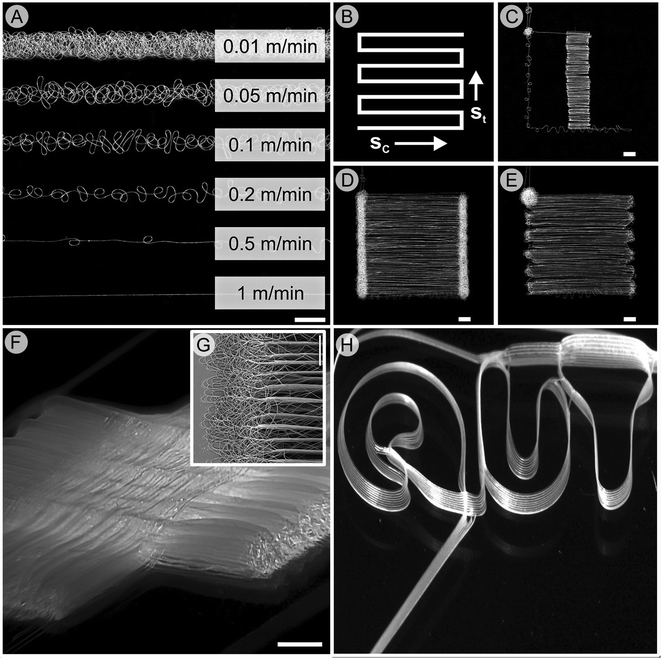 (A) Effect of stage movement speed on the shape of melt electrospun scaffolds. The collector speed (A) defines the straightness of the fiber, while the turning speed (B)–(E) is also important to ensure the fiber is not drawn prematurely (C) or forms coiled fibers at the turning point (D). A photograph of an interwoven melt electrospun scaffold with significant height (approx. 1 mm) formed in a direct writing mode is shown (F). The edge of the scaffold shown in (F) is shown in inset (G) and makes use of optimum turning speeds to minimize unwanted fiber deposition. A photograph of our university logo, written by stacking 20 μm fibers upon each other ten times can be accurately reproduced (H). Fig. (A)–(G) are from ref. 53 while (H) is from ref. 61, both reproduced with permission.