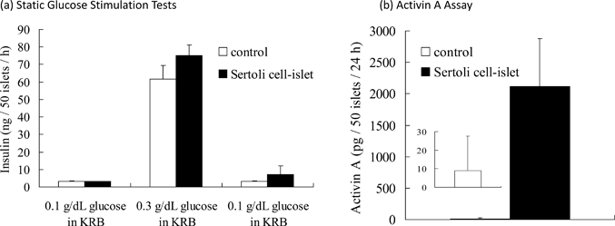 The functional evaluation of Sertoli cell-immobilized islets in vitro. (a) Glucose stimulation test of Sertoli cell-immobilized islets and naïve islets. Islets were sequentially exposed to 0.1, 0.3 and 0.1 g dL−1 glucose solutions in Krebs–Ringer buffer (KRB) at 37 °C for 1 h each. The amounts of released insulin are expressed as mean ± SD for n = 3. (b) Activin A release from Sertoli cell-immobilized islets and naïve islets. The islets were incubated in serum-free medium at 37 °C for 24 h. The amounts of released Activin A are expressed as mean ± SD for n = 5.