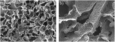 Scanning electron micrographs of cryogel prepared by crosslinking bovine blood: (a) at low magnification illustrating the macroporous structure and (b) at high magnification illustrating the uneven pore wall surface due to the presence of red blood cells.