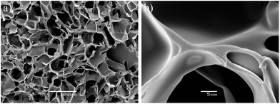 Scanning electron micrographs of cryogel prepared by crosslinking plasma: (a) at low magnification illustrating the macroporous structure and (b) at high magnification illustrating the smooth pore wall surface.