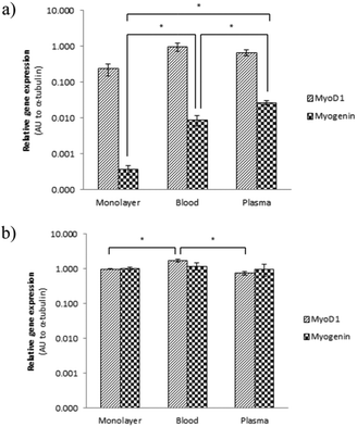 MyoD1 and myogenin gene expression was evaluated after (a) 2 days and (b) 14 days of culture by quantitative real-time PCR. Each value represents the relative expression mean ± SEM to α-tubulin of 4 samples and normalised to a control sample from a monolayer cultured for 14 days. Arbitrary unit (AU) on a logarithmic scale.