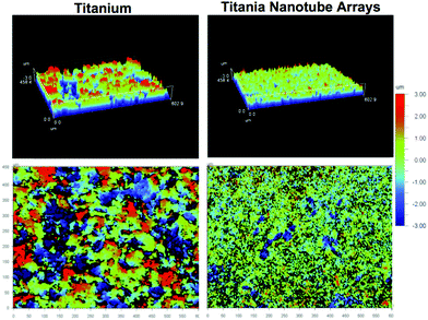 Representative atomic force microscopy (AFM) images of surface topographies for titania nanotube arrays and the control substrates. The size scale is indicated by the color bar (right side), from -3μm to 3μm. The resulting images identify a nano-architecture on titania nanotube arrays and a micro-architecture on biomedical grade titanium.