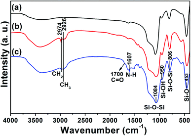 FT-IR spectra of UCNPs@mSiO2 (a), UCNPs@mSiO2-PEG (b) and UCNPs@mSiO2-PEG/FA (c).