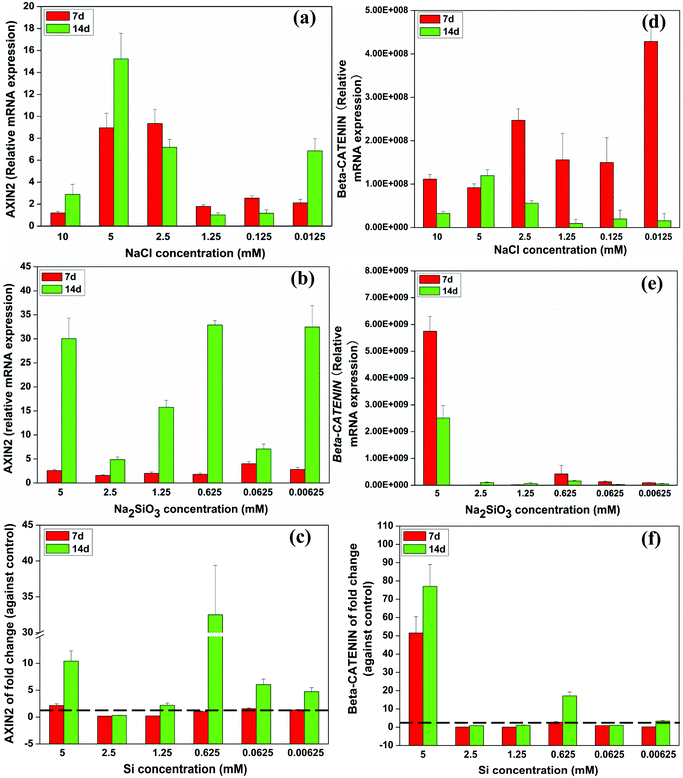 Relative expression of WNT-related genes of BMSCs cultured with a range of concentrations of NaCl (a, d) and Na2SiO3 (b, e). Comparing groups with NaCl and Na2SiO3, effect of different concentrations of Si ions on the fold change of AXIN2 and CTNNB gene expression of BMSCs (c, f). At day 14, Si ions at a concentration of 0.625 mM increased AXIN2 (c), and CTNNB (f) expression (fold change > 1). The dotted line indicates a fold change of gene expression of 1 between NaCl and Na2SiO3 groups.