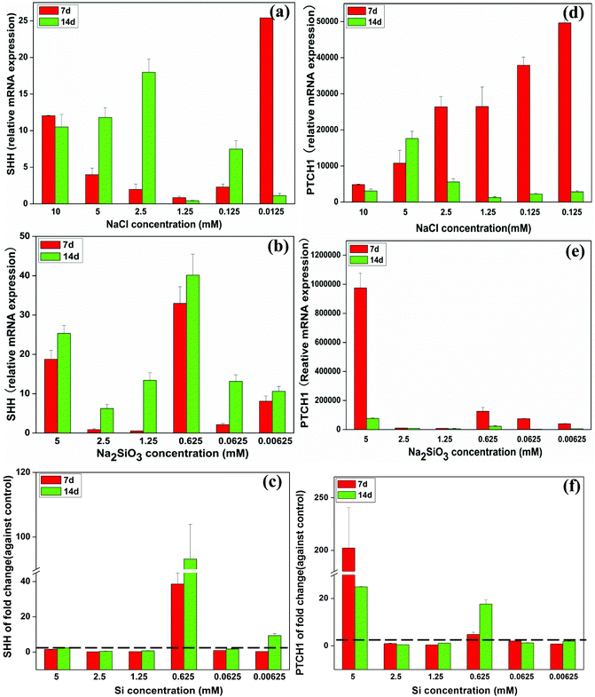 The expression of SHH-related genes of BMSCs in the presence of a range of concentrations of NaCl (a, d) and Na2SiO3 (b, e). After comparing groups containing NaCl and Na2SiO3, effect of different concentrations of Si ions on the fold change of SHH and PTCH1 gene expression of BMSCs (c, f). At day 14, Si ions at a concentration of 0.625 mM enhanced SHH (c) and PTCH1 (f) expression (fold change > 1). The dotted line indicates a fold change of gene expression of 1 between NaCl and Na2SiO3 groups.