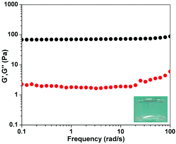 Dynamic frequency sweep of the gel from the solution of 1 (1.0 wt%) at a time of 2 h (strain value = 1%) (insert: optical image of the gel).