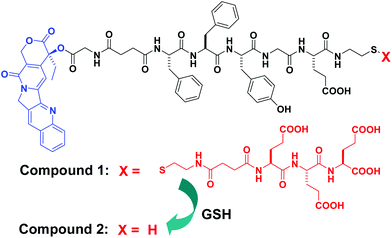 Chemical structures of the precursor (1) of a self-assembled CPT derivative (blue: camptothecin (CPT), black: linker, and red: hydrophilic part of the EEE derivative to improve the solubility of 1) and schematic illustration of the conversion from 1 to 2 by glutathione (GSH).