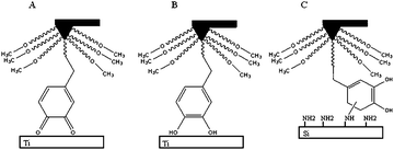 Adhesion profile in (A) titanium surface under oxidizing conditions, (B) titanium surface and (C) organic surface (Silica).73