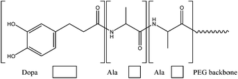 Incorporation of Ala–Ala dipeptide substrate in a catechol modified PEG polymer to allow proteolytic degradation through the action of a neutrophil elastase.66