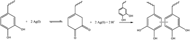 Reaction scheme for hydrogel crosslinking using silver which forms not only the nanoparticles that are going to release silver over time, conferring a antibacterial property to the hydrogel, but also oxidizes the catechol group, allowing for quinine-initiated radical coupling to catechols.76