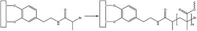 Structure of the bifunctional initiator. DOPA mimetic endgroups allow surface anchoring while the alkyl bromine that activates surface-initiated polymerization.80