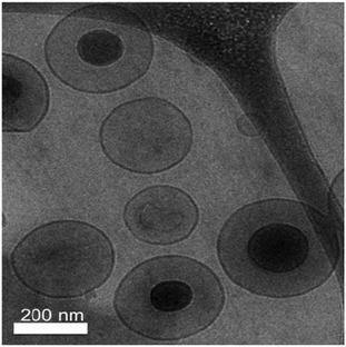 Cryo-TEM image of 5 mol% PR_b functionalized stealth liposomes (5 mol% PEG2000) encapsulating bPEI condensed DNA.