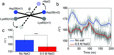 Fluctuations of the angle between two monomers in different solvent conditions. Panel a: schematic figure of the angle between the two monomers, which is measured by the angle θ between two vectors as Asp39(m1)–Lys65(m1) and Asp39(m2)–Lys65(m2). Panel b: fluctuations of the angle θ as a function of the simulation time. Panel c: average and standard deviation of θ for different solvent conditions between 100 and 200 ns in the simulation as shown. We use 10 ns as the window to average θ and then perform the t-test for the 10 datasets, the resultant t-value = 8.5 and P = 0.00001, which suggests that the effect of salt on the overall dimer conformation is highly significant.