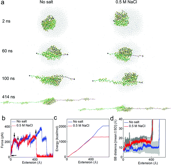 Simulation snapshots for the deformation and mechanical response analysis during pulling apart of the dimer. Panel a: simulation snapshots taken as the applied extension is increased up to 400 Å. Panel b: force–extension curve of the dimer under stretching with a rate of 0.1 m s−1. Each of the arrows in this panel points to places where the corresponding snapshot in Panel a is taken. Panel c: external energy applied to break the structure as a function of the extension, as the amount of area integrated below the force–extension curve. Panel d: the statistic result (average ± standard deviation for every 20 ps) of the distances of all the salt bridges (SB1–SB6) during the extension process. It is noted that the salt conditions make the dimer easier to break apart by breaking the salt bridges.