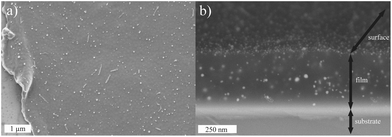 The visual characteristics of the films used in the study as seen in (a) the top view SEM image scratched along the left hand side for reference and (b) the side view backscattered SEM image taken at a 15° angle.