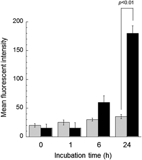 Flow cytometry analysis of DOX uptake of KB/MRP cells by comparison of the mean fluorescence intensity of free DOX (gray bar) and DOX@PNP (black bar). DOX concentration = 10 μg mL−1.