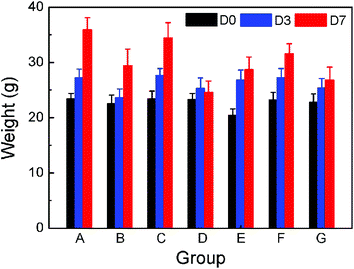 Body weight of KM mice as a function of time after the treatment of the groups as indicated in Table 1.