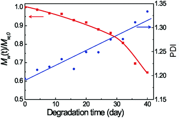 
            M
            w and PDI of copolymers in the remaining hydrogels during in vitro degradation in PBS at 37 °C. The initial polymer concentration was 25 wt%.