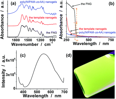 (a) FTIR, (b) UV-vis absorption, and (c) PL spectra of the FNG. FTIR and UV-vis absorption spectra of poly(NIPAM-co-AA) nanogels and poly(NIPAM-co-FPBA) template nanogels were also presented in both (a) and (b) for comparison. (d) The photograph presents the color for the FNG dispersed in PBS of pH 7.4, taken under a UV lamp.