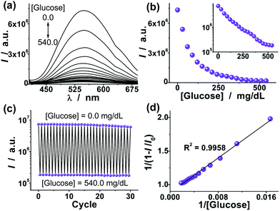 (a) Glucose-dependent PL spectra of the FNG. Scans were taken at 30.0 mg dL−1 intervals from top to bottom, from 0.0 to 540.0 mg dL−1. (b) Evolution of the PL intensity (I) at 549 nm as a function of glucose level. The error bars are within the symbols. (c) PL quenching and recovery cycles upon the repeated adding (540.0 mg dL−1) and removing (0.0 mg dL−1) of glucose in the bathing medium. (d) Linear plot showing the glucose-responsive PL properties in reciprocal space.