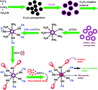 Representative schematic illustration for the fabrication of multifunctional designed HSNPs.