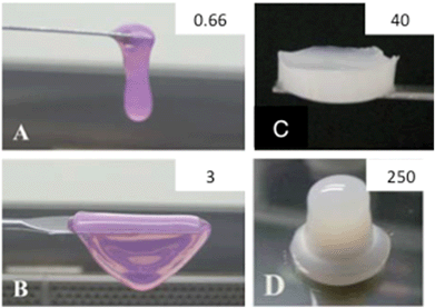 Collagen-based materials. Photographs of collagen gels at (A) 0.66 mg mL−1, (B) 3 mg mL−1, (C) 40 mg mL−1 and (D) 250 mg mL−1. (A–C) From (ref. 107 – reproduced with permission from The Royal Society of Chemistry (RSC)); (D) from (ref. 108 – reproduced with permission from The Royal Society of Chemistry (RSC)).