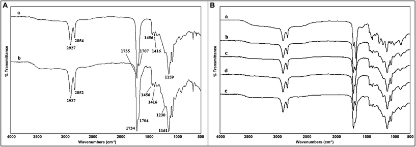 (A) Fourier transform infrared (FTIR) spectra of the poly(glycerol-sebacate) elastomers synthesized via (a) conventional reaction (48 hours) followed by 5-days of curing, and (b) 3-minutes of microwave irradiation (650 W) followed by 16 h of curing under N2; and (B) Fourier transform infrared (FTIR) spectra of the poly(glycerol-sebacate) elastomers synthesized via microwave irradiation followed by curing times of 4, 8, 16, and 24 hours (a, b, c, and d, respectively), and (e) conventional reaction (48 hours) followed by 5-days of curing.