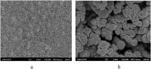 The micrographs of the chicken feather keratin film (a) and keratin powder (b).