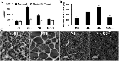 Adsorption of Col IV on model material surfaces. (A) Water contact angles of model OH, CH3, NH2, and COOH surfaces measured before (black bars) and after coating with 50 μg ml−1 native Col IV (white bars). (B) Amount of FITC-Col IV adsorbed from a solution of 50 μg ml−1 on different surfaces and extracted with 0.1 M NaOH (see the Methods section). (C) AFM topographic images of adsorbed native Col IV (50 μg ml−1/10 min) on different model surfaces.