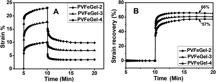 The creep behaviour of the hydrogels with different concentrations of cross-linkers at biological temperature (37 °C) (A) and a graph for the strain recovery with linear time scale after the release of the applied stress to hydrogels at different concentrations of crosslinks (B).