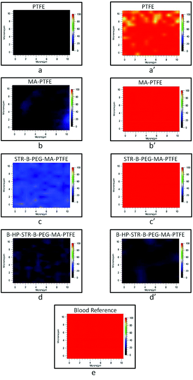 Raman images of (a) PTFE, (b) MA-PTFE, (c) STR–B-PEG–MA-PTFE, (d) B-HP–STR–B-PEG–MA-PTFE surfaces before anticoagulant testing and (a′) PTFE, (b′) MA-PTFE, (c′) STR–B-PEG–MA-PTFE, (d′) B-HP–STR–B-PEG–MA-PTFE surfaces after incubation in lagomorph blood for 2 h at 37 °C; Raman image of (e) lagomorph blood.