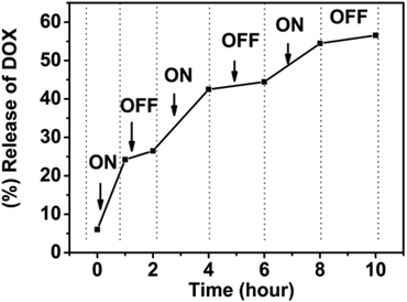 
            In vitro pulsatile release of doxorubicin from multi-responsive SPU2 nanoparticles under pH = 6.0, 10 mM GSH where the temperature is varied between 25 and 37 °C.