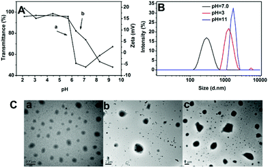 (A) pH-dependence of the transmittance (a) and zeta potential (b) of SPU1 aqueous solution under different pH values at 20 °C. (B) The size change of SPU1 under different pH at 20 °C. (C) TEM graphs of SPU1 under different pH at 20 °C: (a) pH = 7.0; (b) pH = 3; (c) pH = 11.