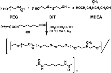 Synthesis of the PEG-co-(MDEA/DiT) copolymers.