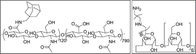 Chemical structures of (left) HA-Ad and (right) CD-PEI.