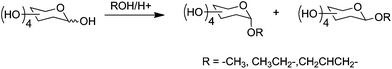 Fischer glycosidation of monosaccharides.