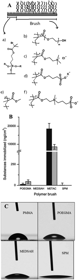 Polymer brush surfaces used in the study and their characteristics; A – chemical structure; polymerisation was initiated from self-assembled monolayers of initiator molecules (a) on cleaned glass slides. R represents crosslinking to other initiator molecules or the glass surface. The polymerisation resulted in polymer brush films of (b) POEGMA, (c) METAC, (d) SPM, (e) PMMA, and (f) MEDSAH. B – adsorption from medium components to different brushes (the black bar represents tryptic soy broth and the grey bar isosensitest medium); C – contact angles for polymer brushes; drops on METAC spread in the same way as on SPM (not shown).