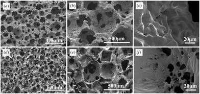 SEM photographs of (a–c) porous Ti and (d–f) porous PLGA at magnifications of (a, d) 35×, (b, e) 100× and (c, f) 1000×. The pores of both porous titanium and porous PLGA were highly interconnected and were almost spherical. Macropore walls contained micropores (c, f).