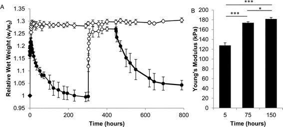 Physical characterization of OMNCL hydrogels formed by mixing equal volumes of 10% (w/v) P8NHS and 10% (w/v) P8Cys in PBS. (A) Swelling of OMNCL hydrogels in 10 mM PBS (closed symbols) or 10 mM PBS substituted with 0.2 M β-ME (open symbols). The two sets of hydrogels (diamonds and circles, n = 5 per set) varied by the sequence in which they were incubated in PBS or β-ME. In one case (circles), the hydrogels were incubated in PBS followed by β-ME and then PBS again. In the second case (diamonds), the hydrogels were incubated in PBS for the first few hours and thereafter in β-ME. (B) Young's moduli (n = 4) at various time points for OMNCL hydrogels incubated in PBS. *p < 0.05, ***p < 0.001.