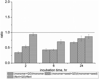 Intracellular ROS levels of different Aβ1–40 solutions conjugated with NAC–QDs at three different time points. The histogram shows the ratio of the relative intracellular ROS levels of different Aβ1–40 solutions (Aβ1–40M solution, Aβ1–40F solution and Aβ1–40MS solution) conjugated with NAC–QDs (0.2 × 10−8 M). The ratio of the relative intracellular ROS levels was calculated and the ratio value of less than 1 showed that lower intracellular ROS levels were induced by Aβ1–40 solutions after conjugation with NAC–QDs compared with those of SH-SY5Y cells treated with different Aβ1–40 solutions alone. The induction of intracellular ROS levels was found to be reduced for all Aβ1–40 solutions on SH-SY5Y cells after incubating with NAC–QDs for 2, 6 and 24 hours.