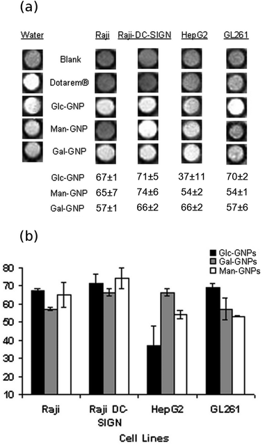 (a) T1-weighted images of fixed cells at 11.7 T and the percentage change of T1 (%ΔT1) after incubation with Dotarem® or Gd-GNP at 130 μM (17.9 μg mL−1) concentration of Gd and (b) bar diagrams of the percentage change of T1 (%ΔT1) of the cells after incubation with Gd-GNPs. Each value and error bar in the plot represent the mean and standard deviation from independent experiments (n = 2–5).