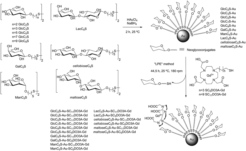 Glycoconjugates used for the synthesis of 100% sugar-coated gold glyconanoparticles (GNPs) and incorporation of DO3A-Gd complexes by ligand place exchange reaction (LPE) to obtain the sugar/Gd-coated gold nanoparticles (Gd-GNPs).