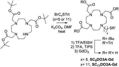 Synthesis of the SCxDO3A derivatives.