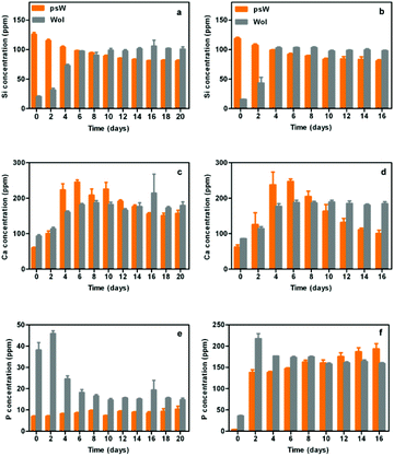 Soluble factor analyses in growth medium (GM) and osteogenic induction medium (IM) from psw and wol cell culture samples. (a, b) Si, (c, d) Ca and (e, f) P. (a, c, e) Concentrations of Si, Ca, and P from GM at a cell seeding density of 10 000 cells cm−2. (b, d, f) Concentrations of Si, Ca, and P from IM at a cell seeding density of 30 000 cells cm−2.