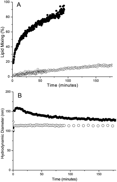 (A) Total lipid mixing recorded by fluorescence spectroscopy for liposomes modified with 0.25 mol% (●) and 0 mol% (○) LPE and LPK. (B) Average particle sizes determined by DLS for liposomes modified with 0.25 mol% (●) and 0 mol% (○) LPE and LPK. [Lipids] = 1 mM.