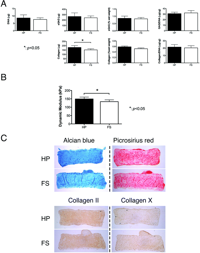 Effects of hydrostatic pressure on chondrogenesis of FPSCs maintained in agarose hydrogels. Hydrostatic pressure was applied from day 8–35 of a 6-week culture. (A) DNA content, sulfated glycosaminoglycan (sGAG) content, sGAG content per wet weight, GAG/DNA, collagen content, collagen content per wet weight and collagen/DNA. (B) Dynamic modulus. (C) Alcian blue staining, picrosirius red staining, and immuno-staining of collagen II and collagen X. “*” indicates a significant difference between constructs subjected to hydrostatic pressure loading or maintained in free swelling conditions.