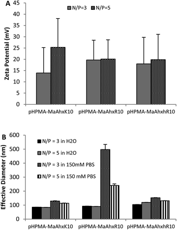 Zeta potential (A) and particle sizing (B) of decamer polymer polyplexes measured by dynamic light scattering (DLS). Polyplexes were formed in water and allowed to form for 5 minutes. After addition of either water or 150 mM PBS, mixtures were measured by DLS. Data is presented as mean ± SD, n = 3.