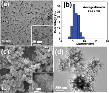 (a) TEM micrograph and (b) the diameter distribution of the Fe3O4 magnetic nanoparticles prepared by a microwave-assisted ionic liquid method; (c) SEM micrograph and (d) TEM micrograph of the HAPUN/MNs nanocomposite obtained by a microwave-assisted solvothermal method at 120 °C for 30 min.