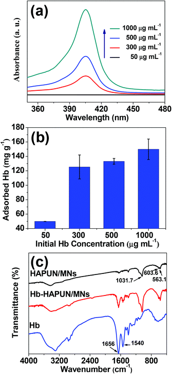 (a) UV-vis absorption spectra of Hb solutions with different concentrations after Hb adsorption in the HAPUN/MNs nanocomposite; (b) Hb adsorption amount by the HAPUN/MNs nanocomposite versus initial Hb concentration; (c) FTIR spectra of the HAPUN/MNs nanocomposite, Hb-loaded HAPUN/MNs nanocomposite and pure Hb.